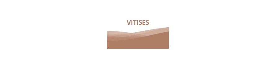 VITISES